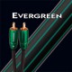 Кабель Audioquest Evergreen RCA - RCA